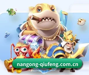 南宫体育app的故事 - 体育资讯内容服务