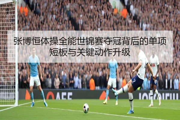 zhang-bo-heng-ti-cao-quan-neng-shi-jin-sai-duo-guan-bei-hou-de-dan-xiang-duan-ban-yu-guan-jian-dong-zuo-sheng-ji-2-251.jpg