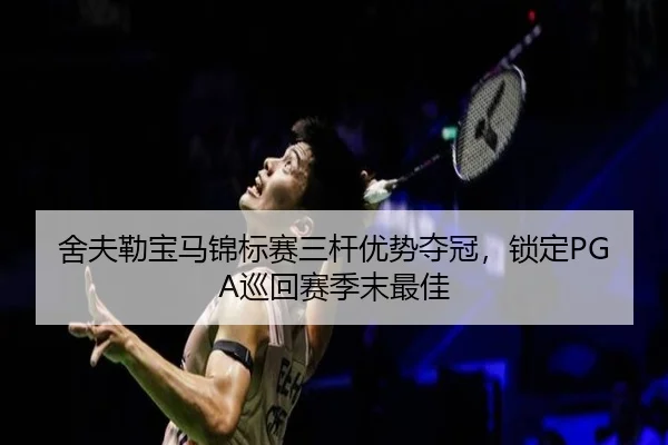 she-fu-lei-bao-ma-jin-biao-sai-san-gan-you-shi-duo-guan-suo-ding-xun-hui-sai-ji-mo-zui-jia-3-123.jpg